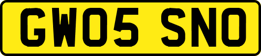 GW05SNO