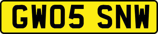 GW05SNW