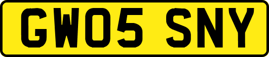 GW05SNY