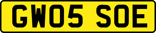 GW05SOE