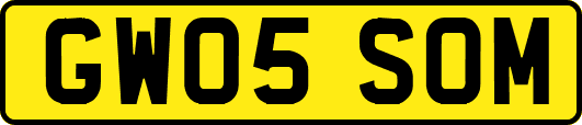 GW05SOM