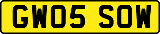 GW05SOW