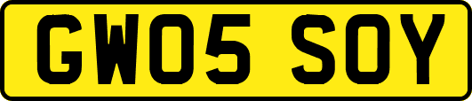 GW05SOY