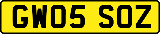 GW05SOZ