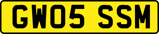 GW05SSM