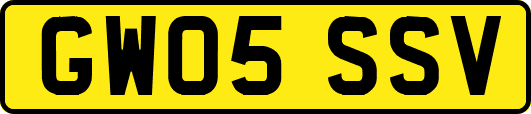 GW05SSV