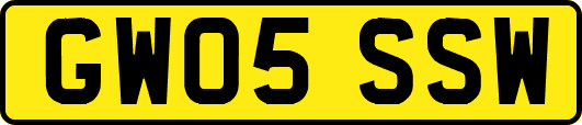 GW05SSW