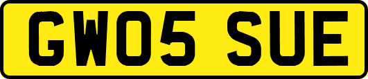 GW05SUE