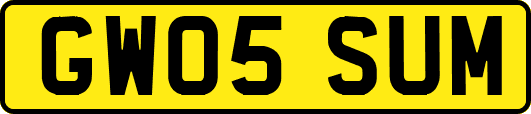 GW05SUM