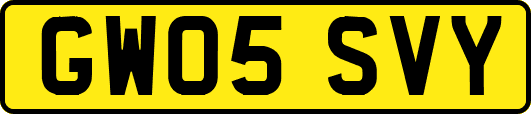 GW05SVY