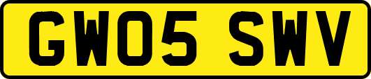 GW05SWV