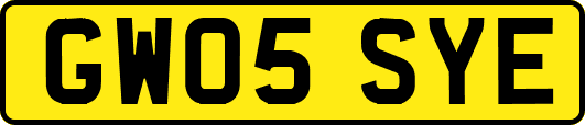 GW05SYE