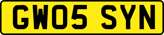 GW05SYN
