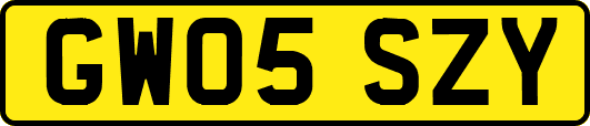 GW05SZY