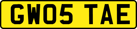 GW05TAE
