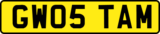 GW05TAM