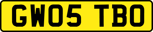 GW05TBO