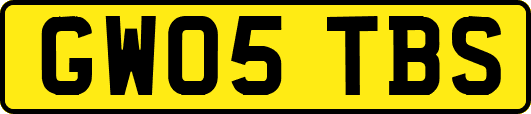 GW05TBS