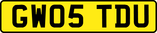 GW05TDU