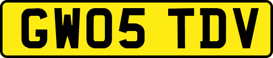 GW05TDV