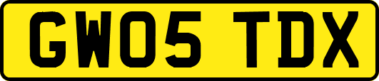 GW05TDX