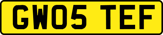 GW05TEF