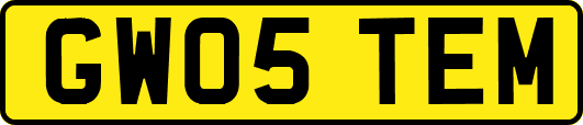 GW05TEM