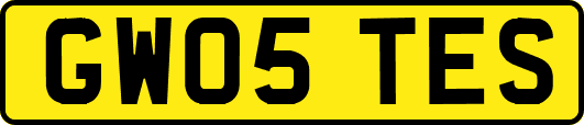 GW05TES