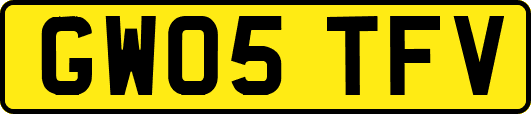 GW05TFV