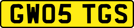 GW05TGS