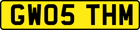 GW05THM