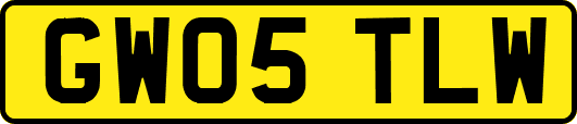 GW05TLW
