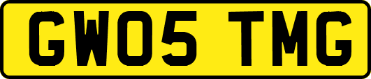 GW05TMG