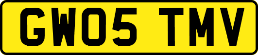 GW05TMV