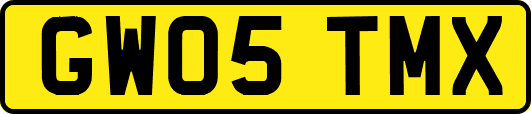 GW05TMX