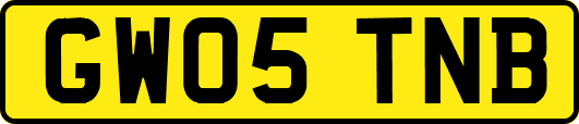 GW05TNB