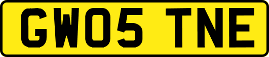 GW05TNE