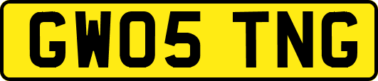 GW05TNG