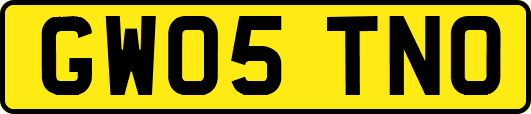 GW05TNO