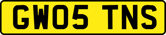 GW05TNS