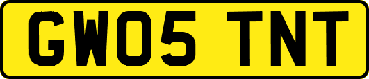 GW05TNT