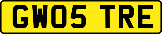 GW05TRE