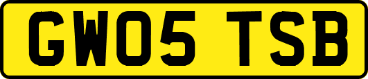 GW05TSB