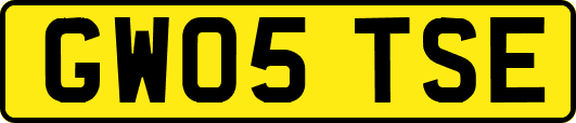 GW05TSE