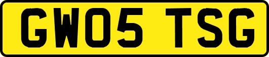 GW05TSG