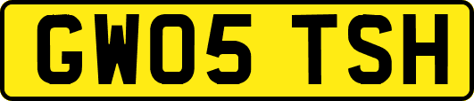 GW05TSH