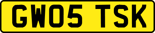GW05TSK