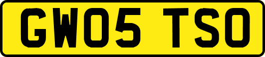 GW05TSO