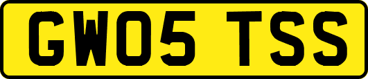 GW05TSS