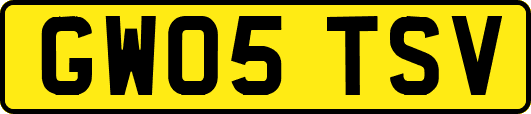 GW05TSV